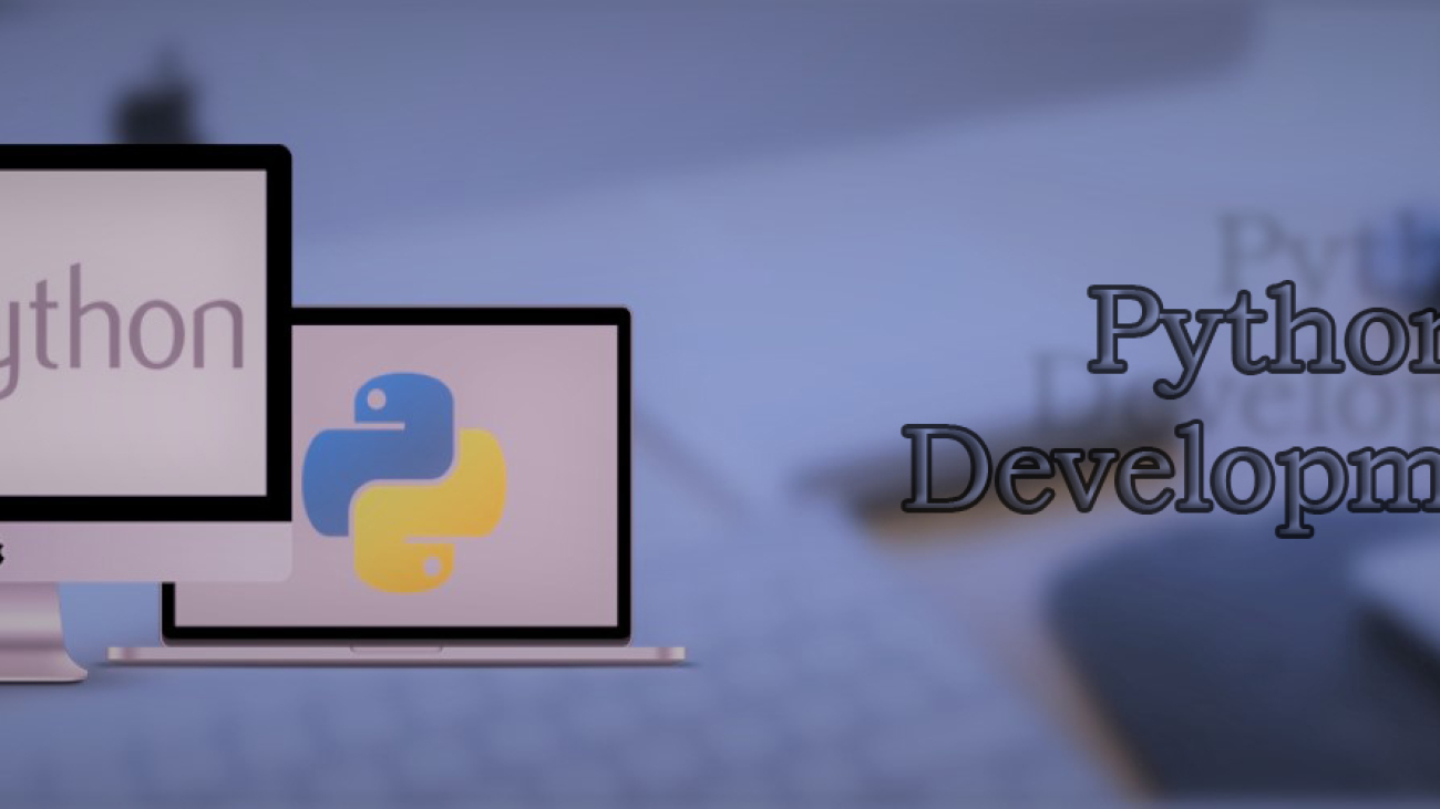 Python Development-ahomtech.com