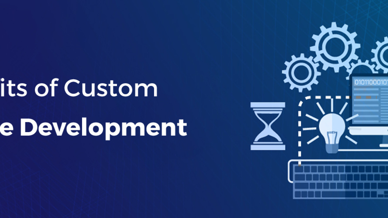 benefits of custom spftware development-ahomtech.com