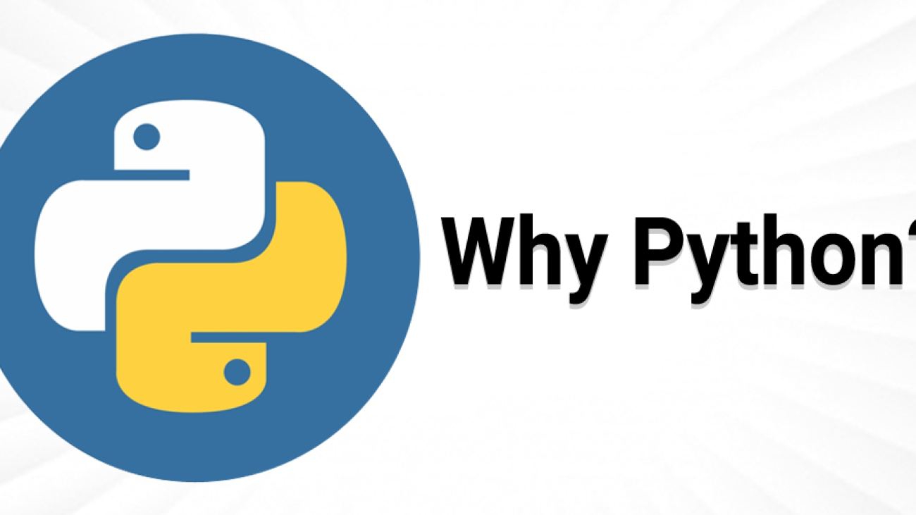 Python Development Technology
