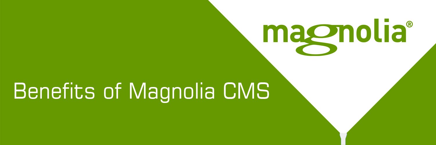 benefits of Magnolia-ahomtech.com