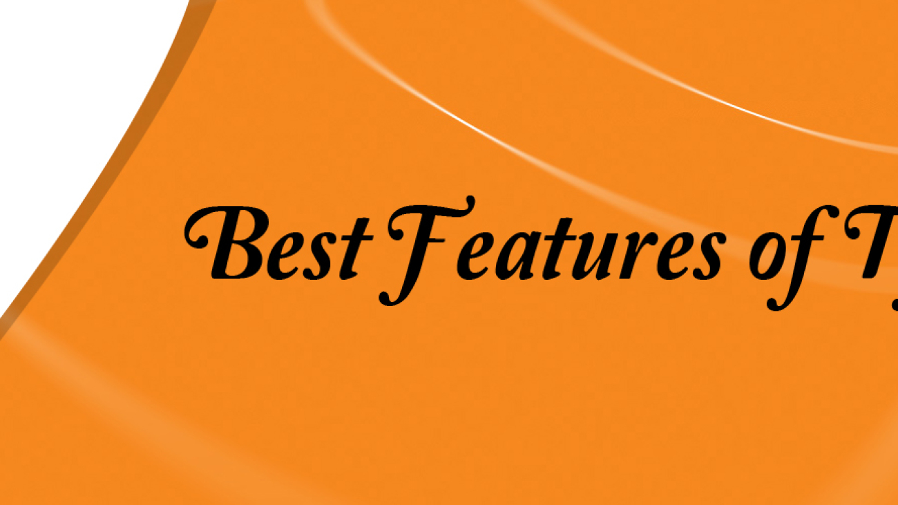 best features of Typo3-ahomtech.com