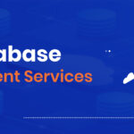 SQL Server DATABASE web development Service Company
